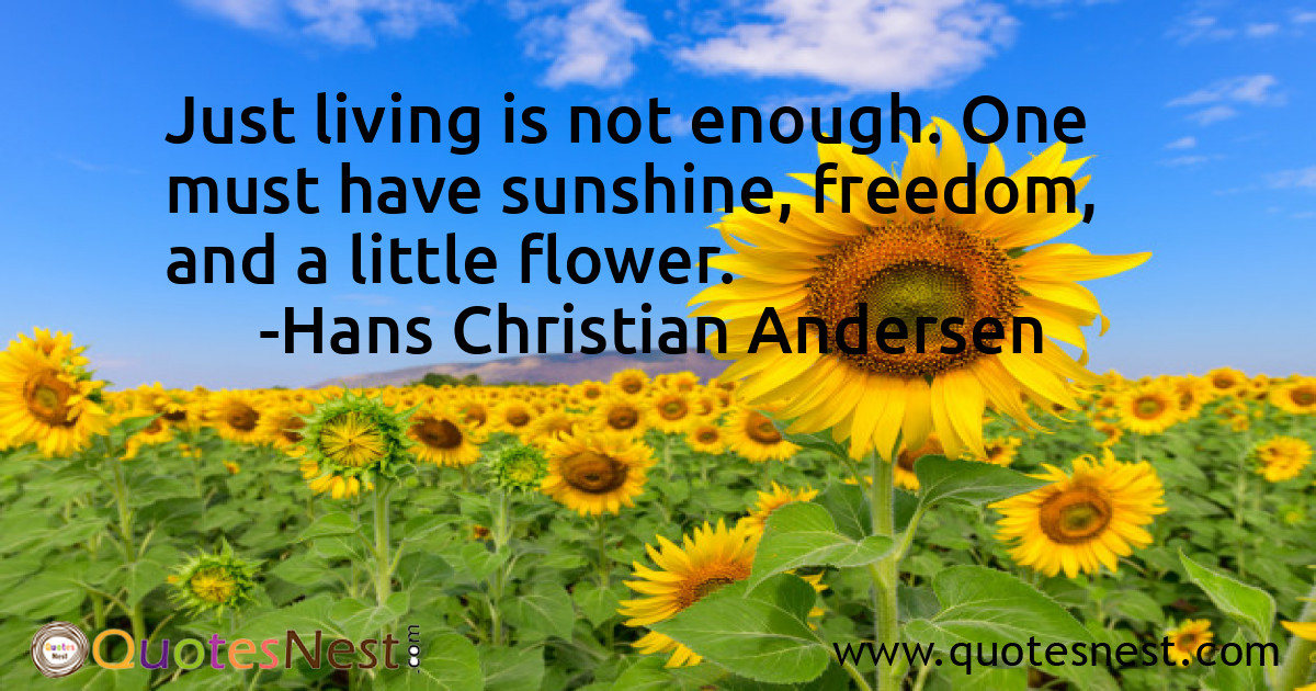 Freedom_Hans Christian Andersen_5_small