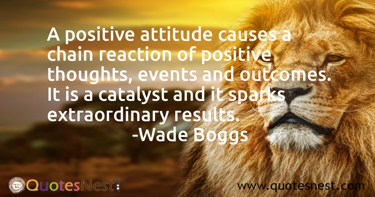 Attitude_Wade Boggs_5_small