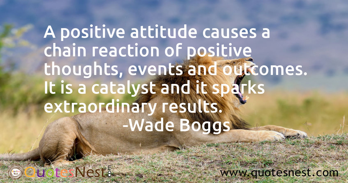 Attitude_Wade Boggs_3_small