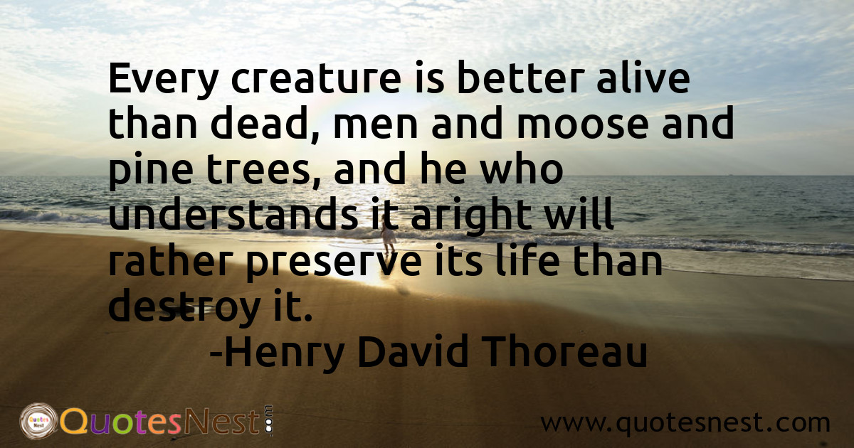 Every creature is better alive than dead, men and moose and pine trees, and he who understands it aright will rather preserve its life than destroy it.