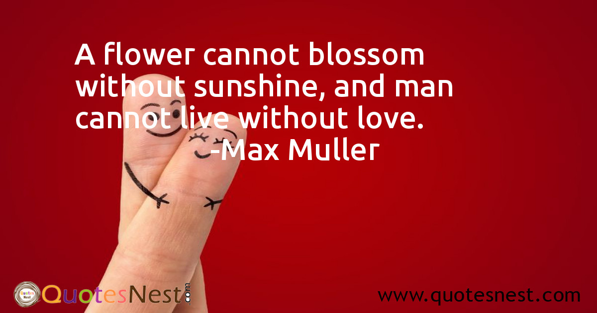 Love_Max Muller_2_small