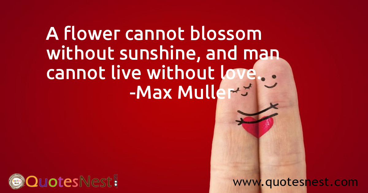 Love_Max Muller_3_small