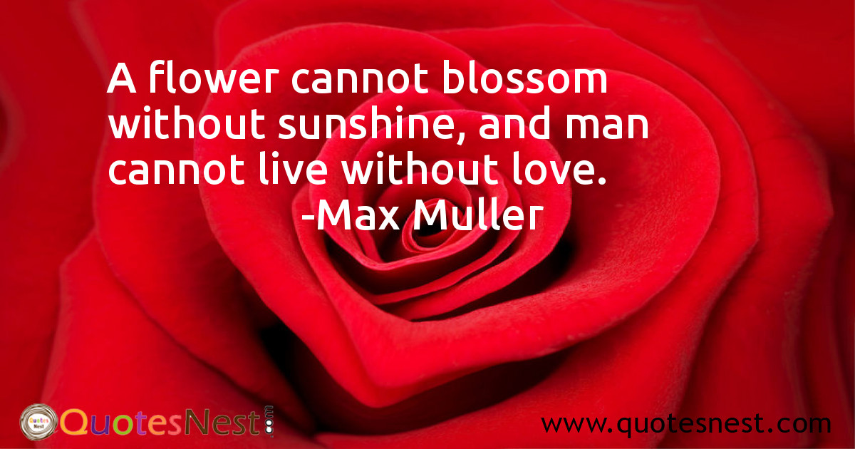 Love_Max Muller_5_small