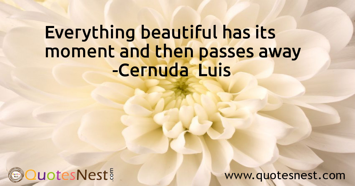Beauty_Cernuda  Luis_2_small