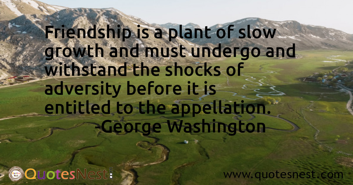 Friendship_George Washington_2_small