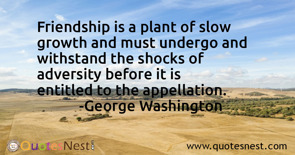 Friendship_George Washington_3_small