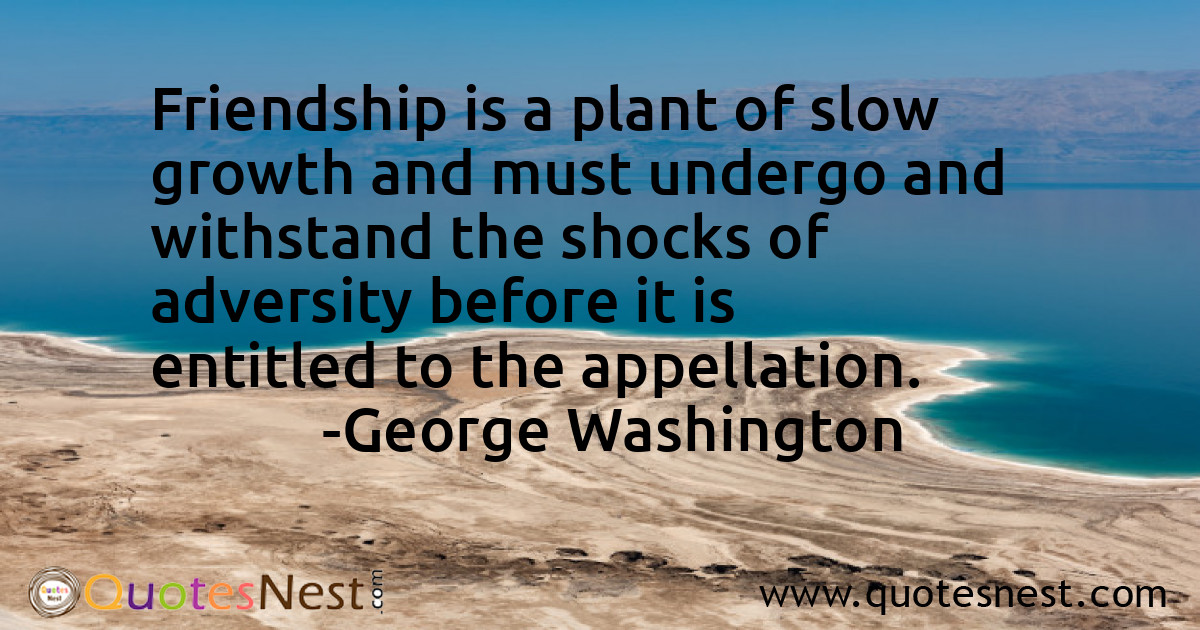 Friendship_George Washington_5_small