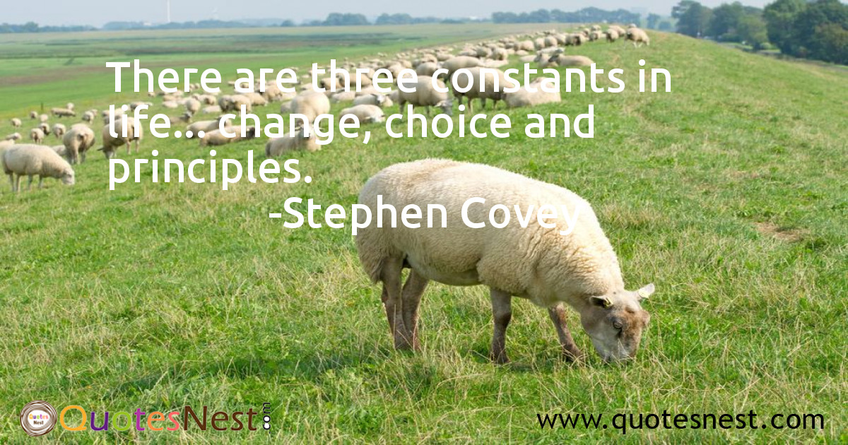 Life_Stephen Covey_3_small