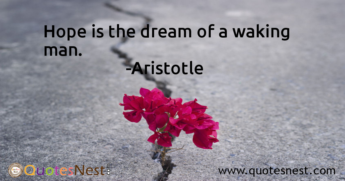 Hope_Aristotle_5_small