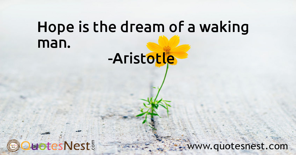 Hope is the dream of a waking man.
