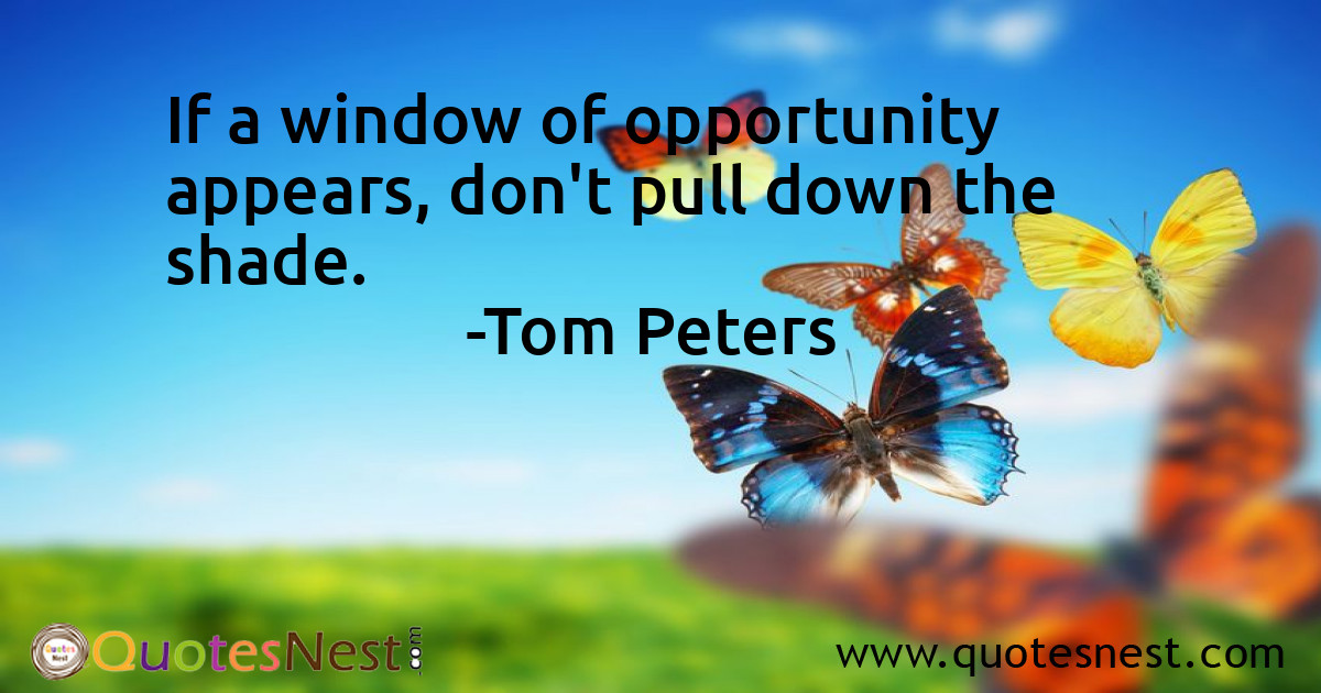 If a window of opportunity appears, don't pull down the shade.