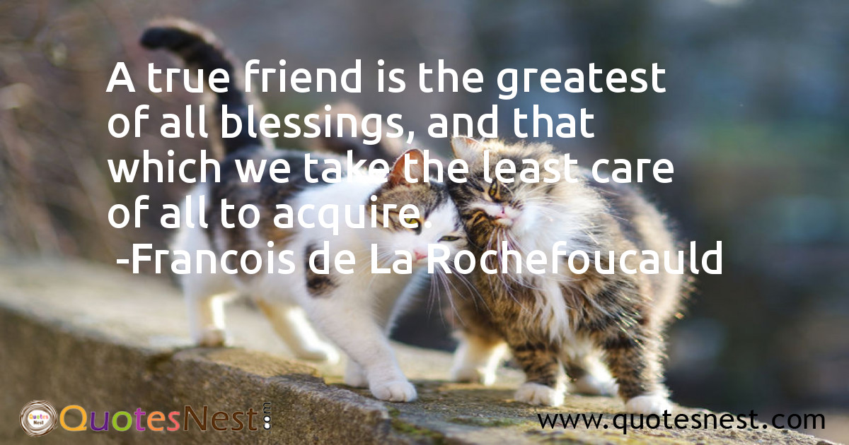Friendship_Francois de La Rochefoucauld_5_small