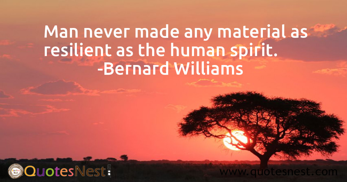 Inspirational_Bernard Williams_5_small