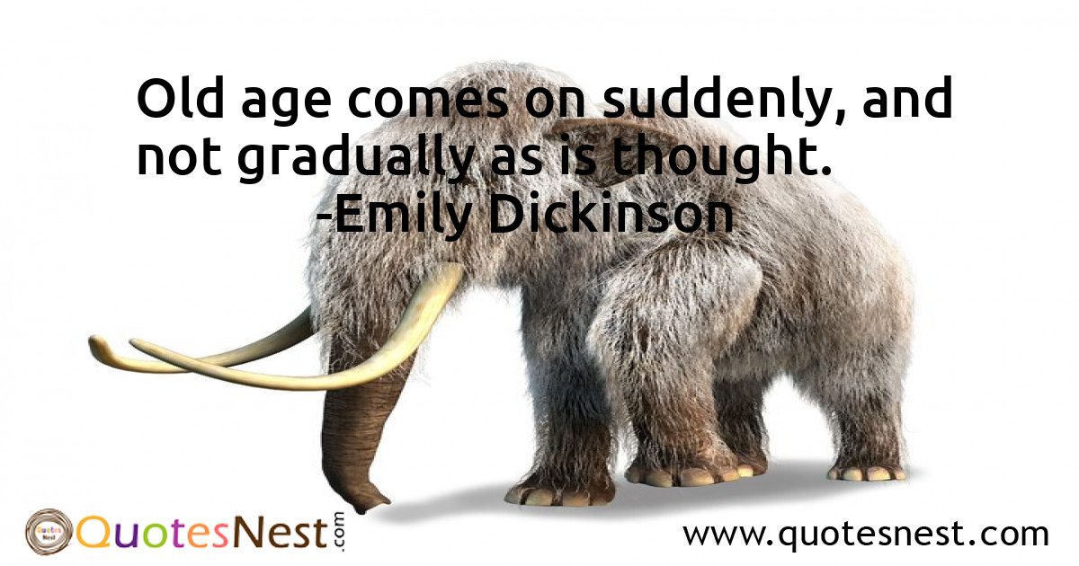Age_Emily Dickinson_5_small