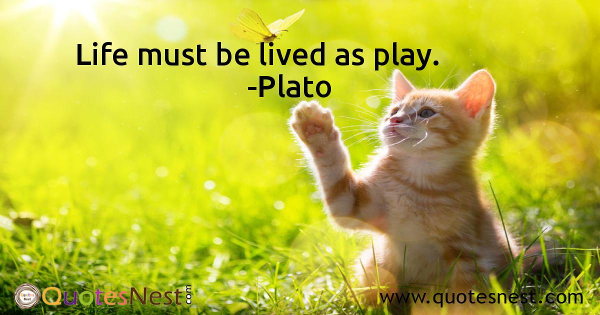 Life_Plato_4_small