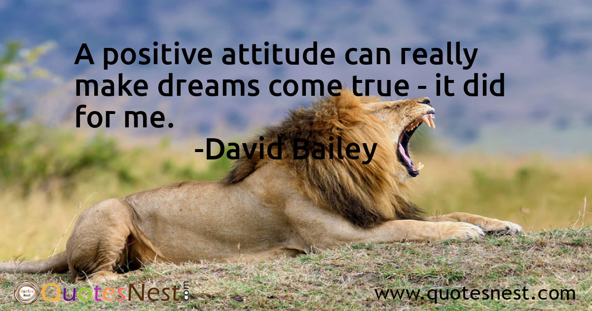 Attitude_David Bailey_4_small