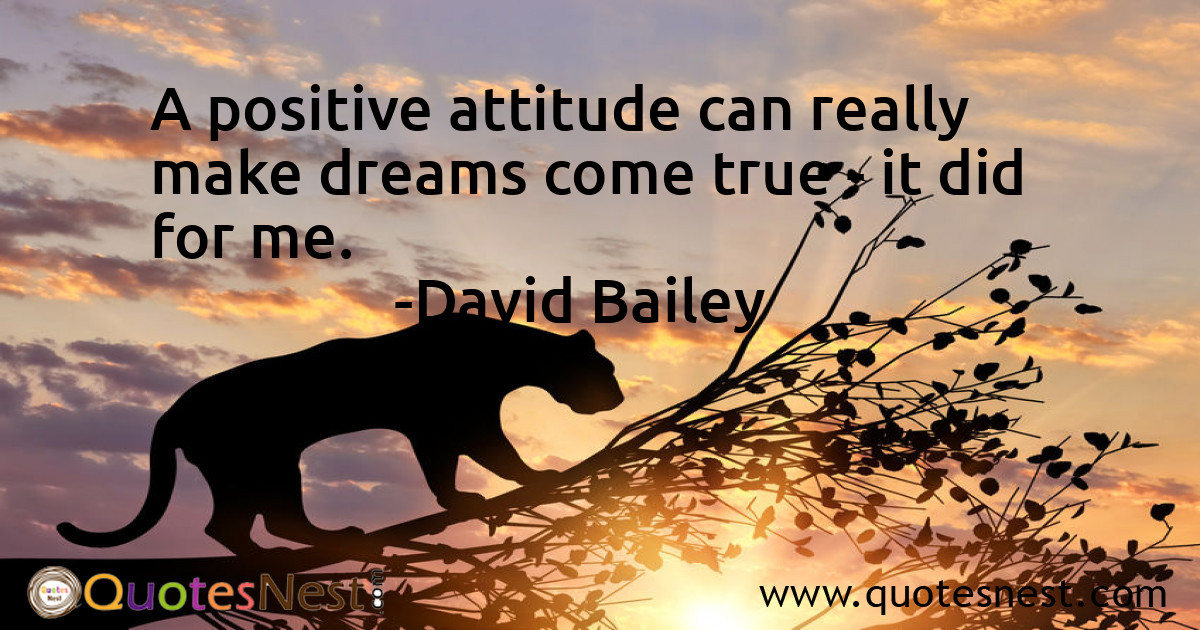 Attitude_David Bailey_2_small