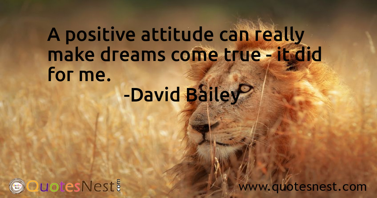 Attitude_David Bailey_3_small