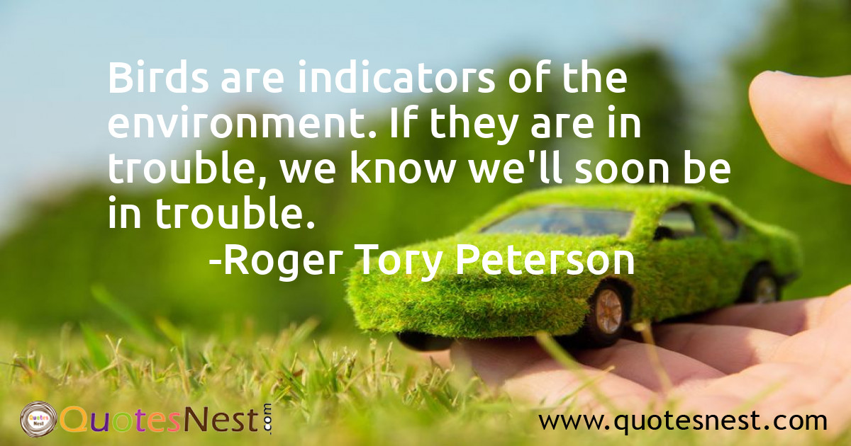 Environmental_Roger Tory Peterson_5_small