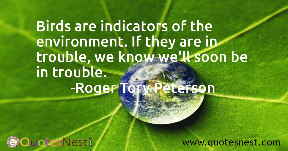 Environmental_Roger Tory Peterson_4_small