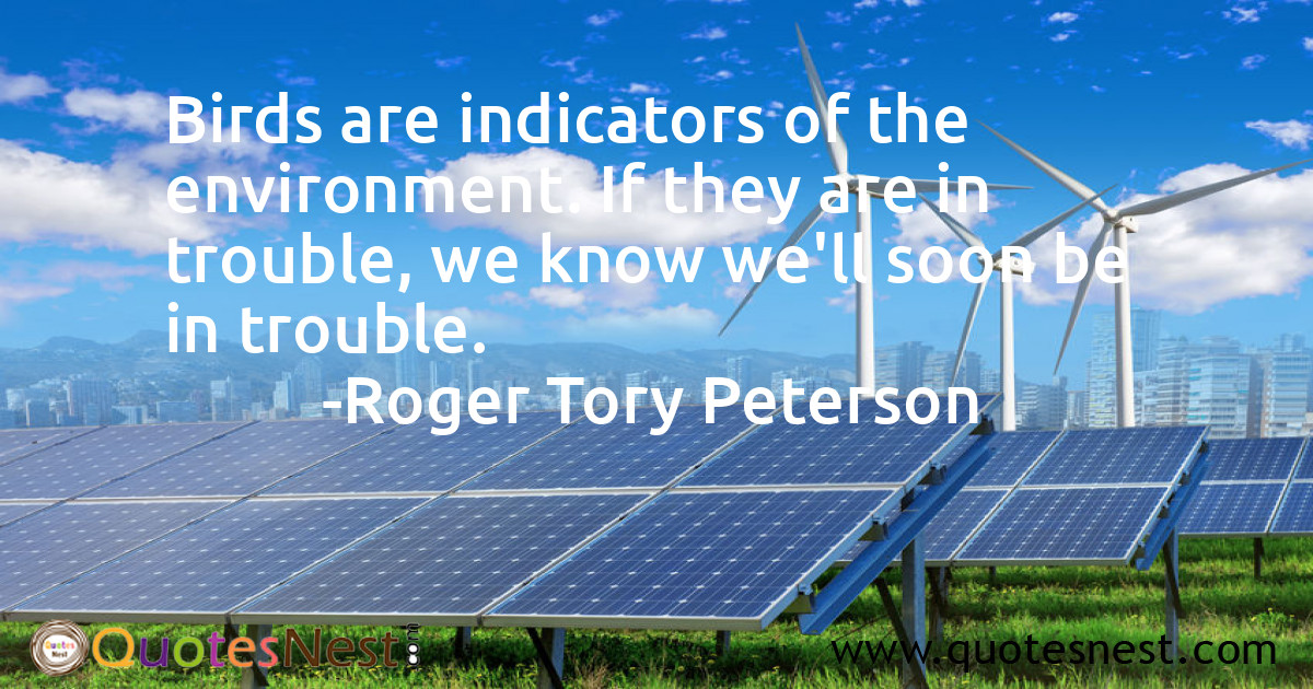 Environmental_Roger Tory Peterson_3_small