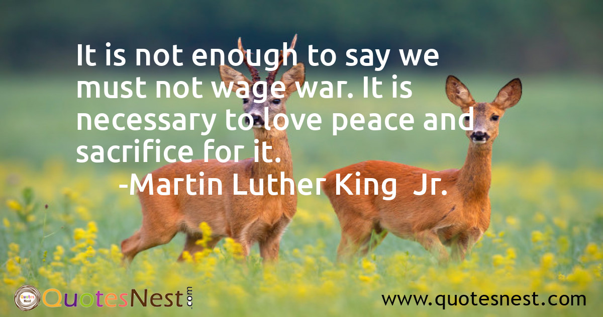 It is not enough to say we must not wage war. It is necessary to love peace and sacrifice for it.