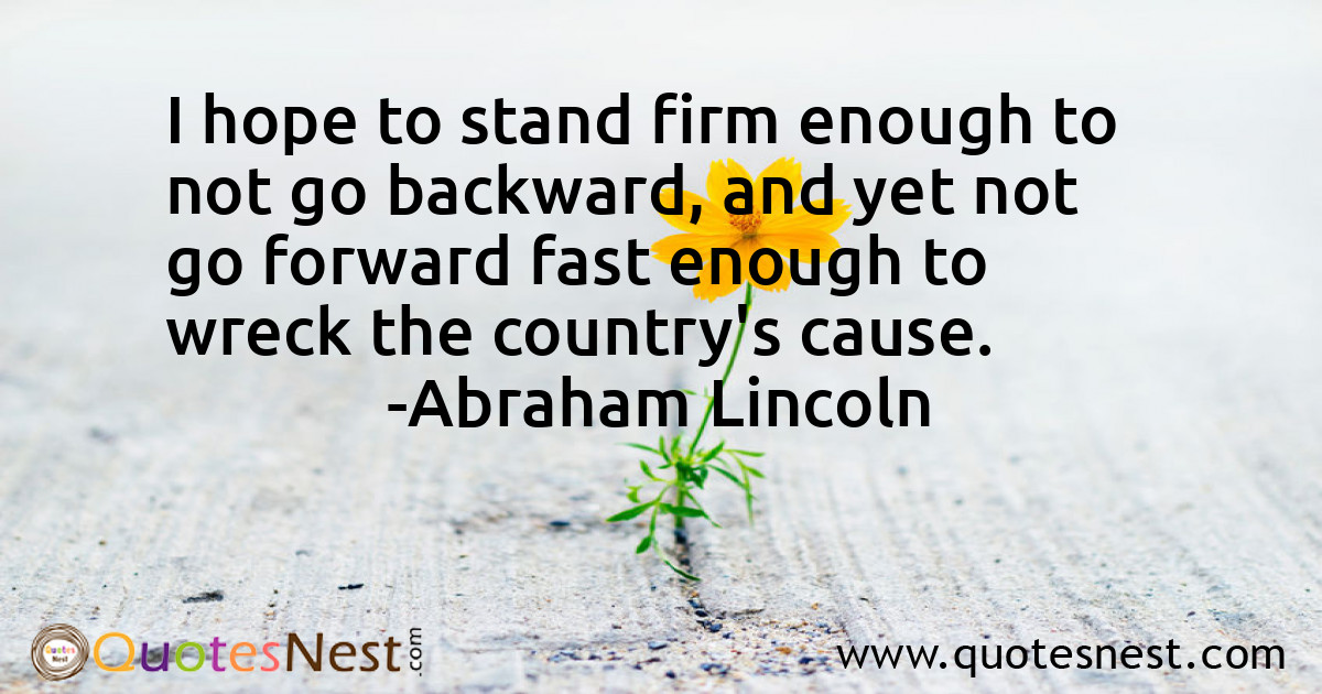 I hope to stand firm enough to not go backward, and yet not go forward fast enough to wreck the country's cause.