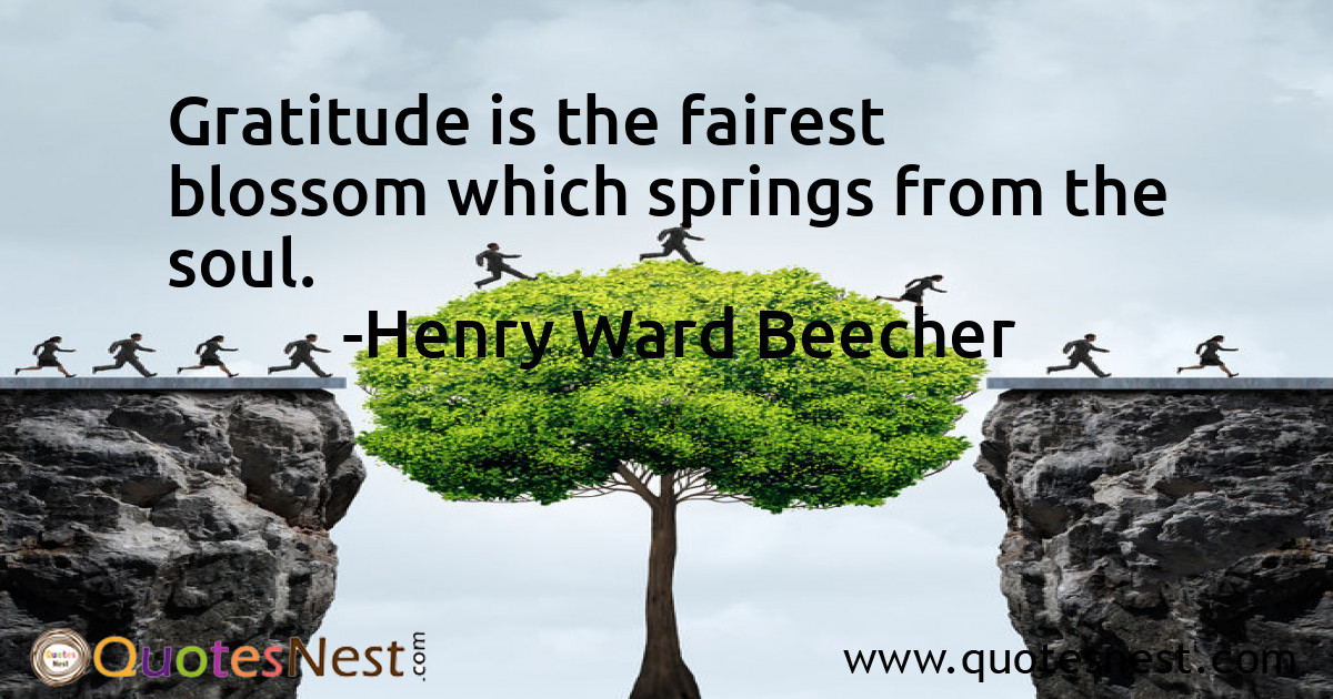 Gratitude is the fairest blossom which springs from the soul.