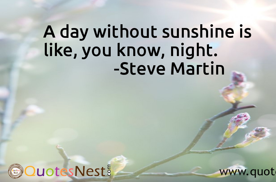 Funny_Steve Martin_4_small