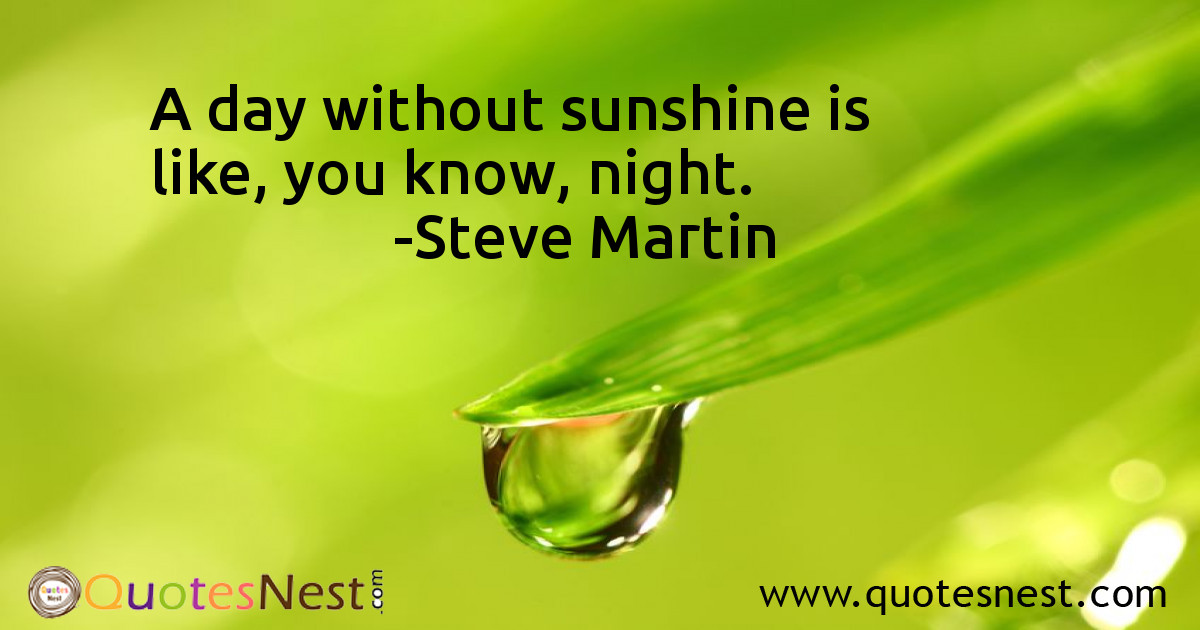 Funny_Steve Martin_5_small