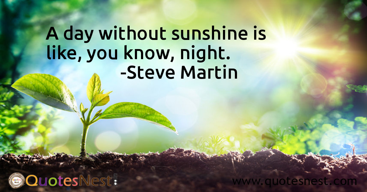 Funny_Steve Martin_3_small