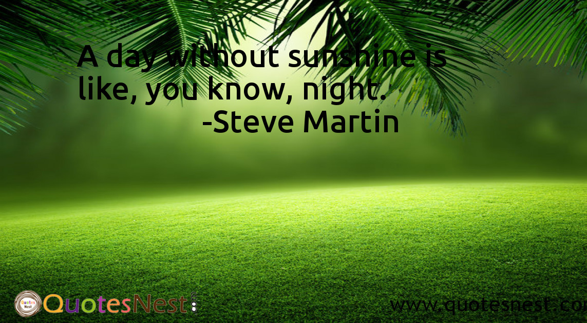 Funny_Steve Martin_2_small