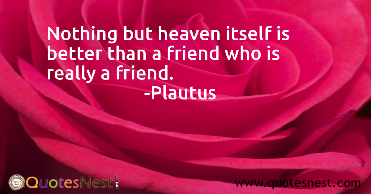 Friendship_Plautus_3_small