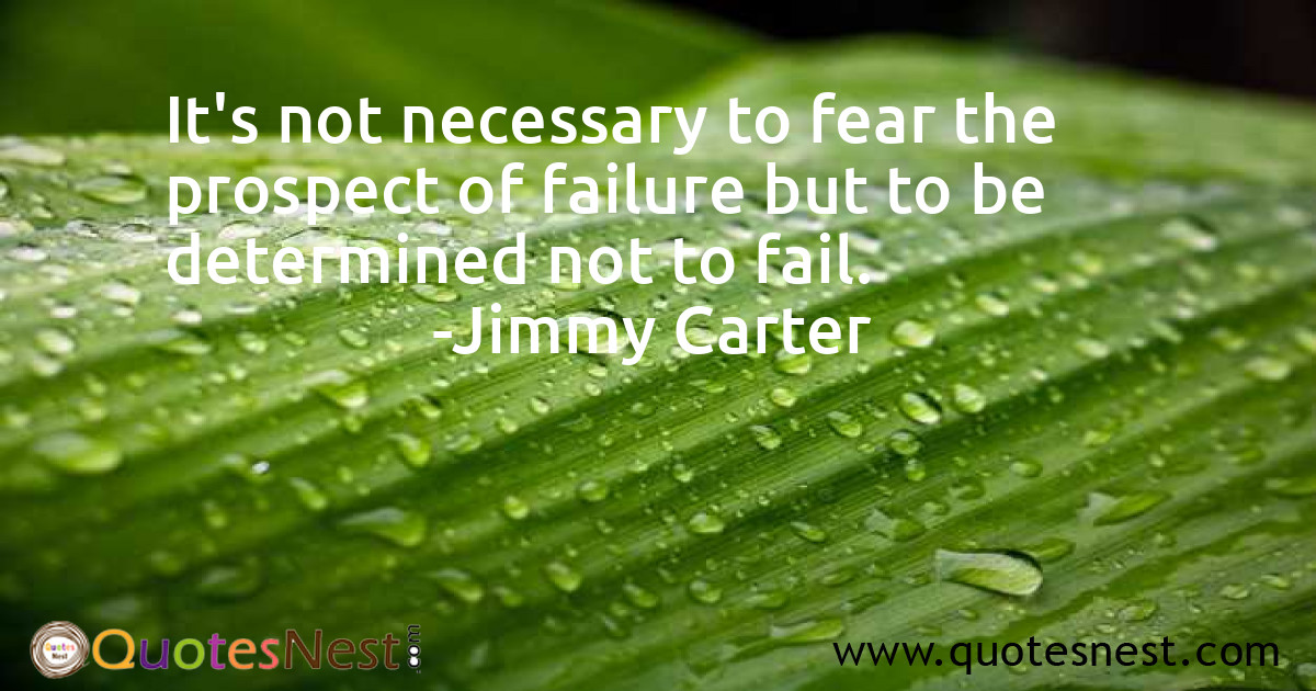 Failure_Jimmy Carter_4_small